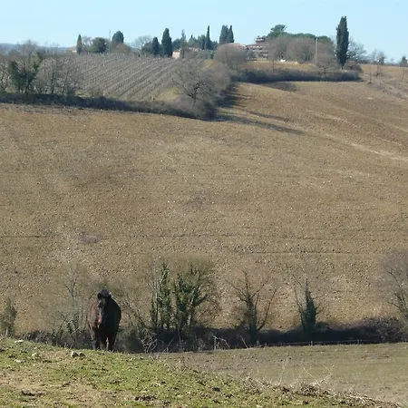 Vakantieboerderij Casalgallo