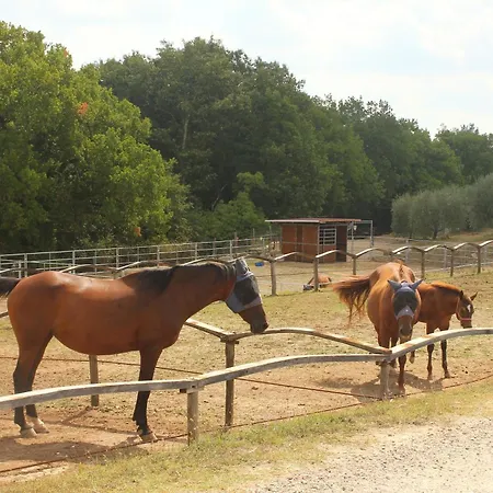 Casalgallo Séjour à la ferme *